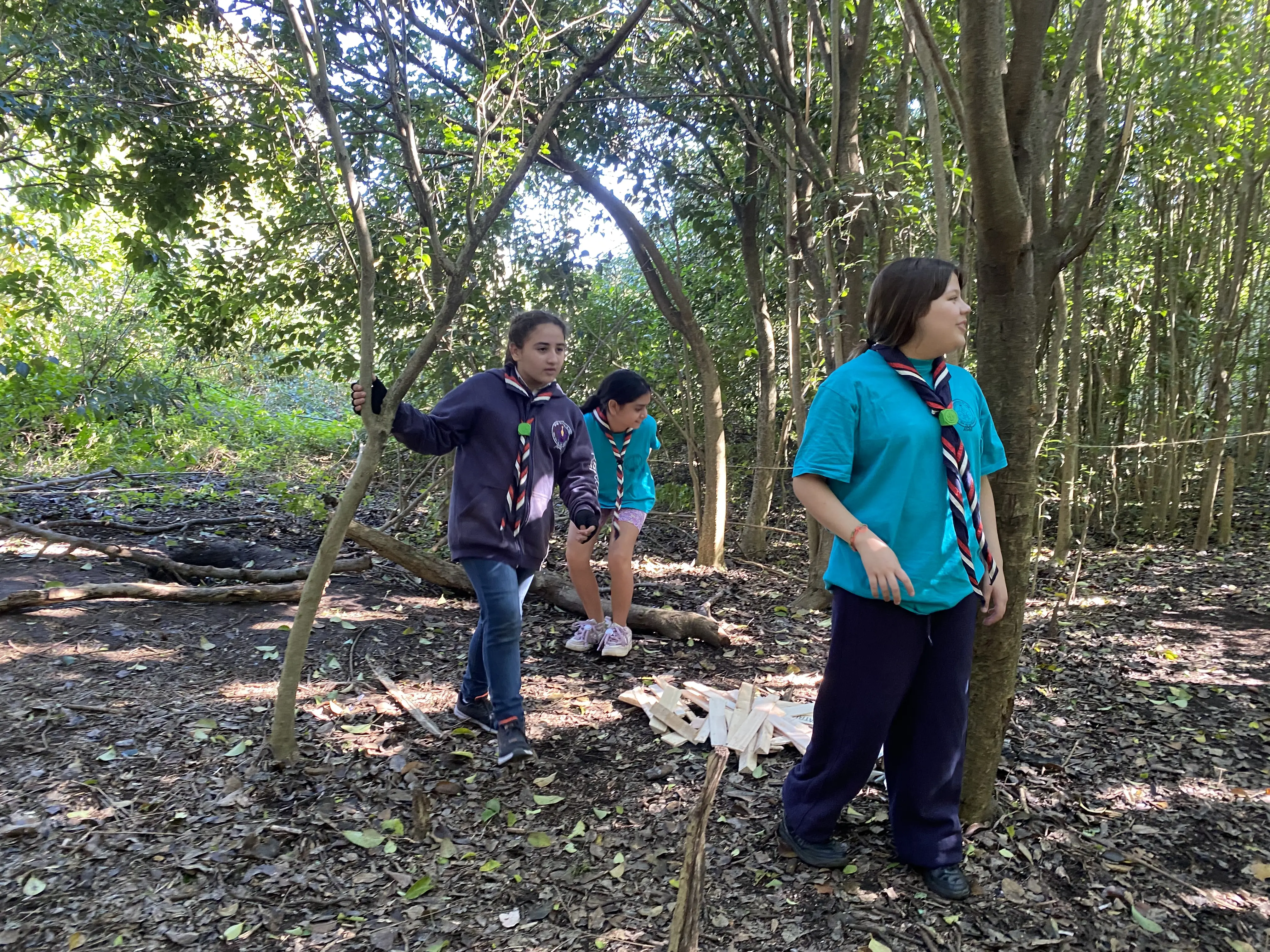 Imagen de actividades de la unidad scout